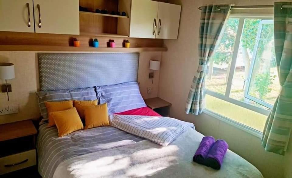Camping Avonmore Martello *